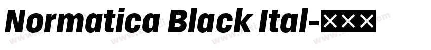 Normatica Black Ital字体转换